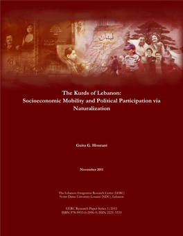 Socioeconomic Mobility and Political Participation Via Naturalization