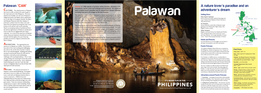A Nature Lover's Paradise and an Adventurer's Dream Palawan 'CAN'