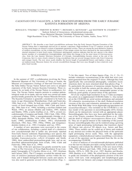 Calsoyasuchus Valliceps, a New Crocodyliform from the Early Jurassic Kayenta Formation of Arizona