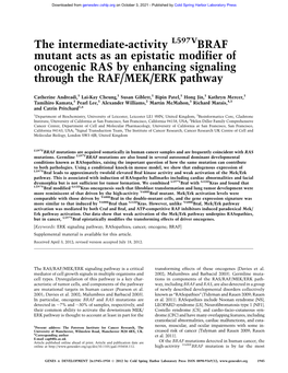 L597VBRAF Mutant Acts As an Epistatic Modifier of Oncogenic RAS by Enhancing Signaling Through the RAF/MEK/ERK Pathway