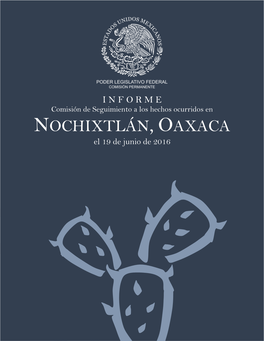 Nochixtlán, Oaxaca, El 19 De Junio De 2016
