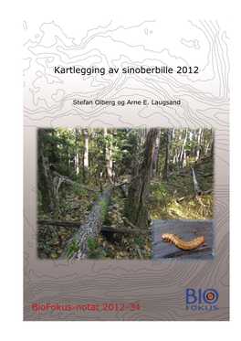 Kartlegging Av Sinoberbille 2012