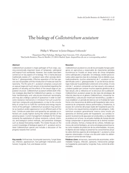 The Biology of Colletotrichum Acutatum