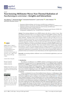 Non-Ionizing Millimeter Waves Non-Thermal Radiation of Saccharomyces Cerevisiae—Insights and Interactions