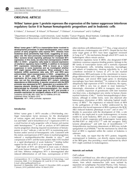 Tumor Gene 1 Protein Represses the Expression of the Tumor Suppressor Interferon Regulatory Factor 8 in Human Hematopoietic Progenitors and in Leukemic Cells