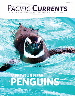 Pacific Currents | Spring 2012 Animal Updates