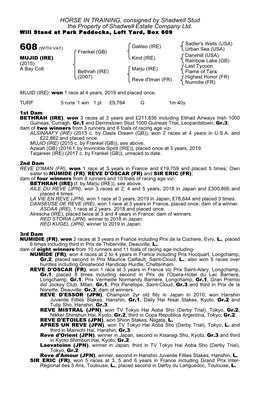 HORSE in TRAINING, Consigned by Shadwell Stud the Property of Shadwell Estate Company Ltd