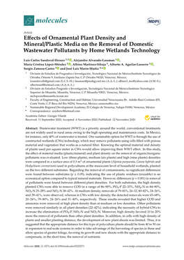 Effects of Ornamental Plant Density and Mineral/Plastic Media on The