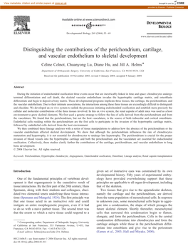 Distinguishing the Contributions of the Perichondrium, Cartilage, and Vascular Endothelium to Skeletal Development