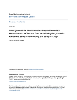 Investigation of the Antimicrobial Activity and Secondary Metabolites