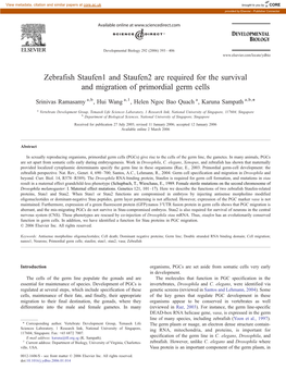 Zebrafish Staufen1 and Staufen2 Are Required for the Survival And