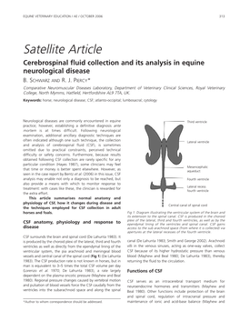 Satellite Article Cerebrospinal Fluid Collection and Its Analysis in Equine Neurological Disease B