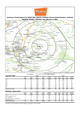 Customer Profile Report for BEAR INN, BISLEY STROUD (Punch Outlet Number: 201816) GEORGE STREET, STROUD, GL6 7BD (GL 6 7BD)