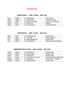 Division One Burn N Bolt