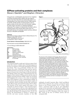 Gtpase-Activating Proteins and Their Complexes Steven J Gamblin* and Stephen J Smerdon