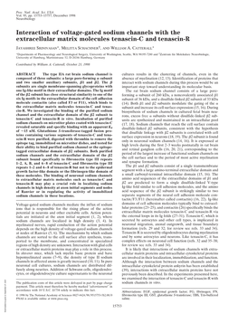 Interaction of Voltage-Gated Sodium Channels with the Extracellular Matrix Molecules Tenascin-C and Tenascin-R