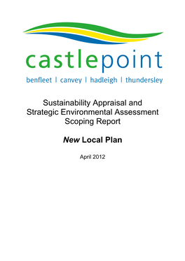 Sustainability Appraisal and Strategic Environmental Assessment Scoping Report