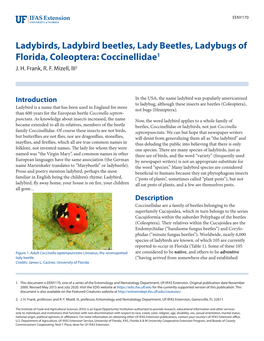 Ladybird Beetles, Lady Beetles, Ladybugs of Florida, Coleoptera: Coccinellidae1 J