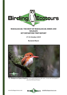 Madagascar: the Best of Madagascar, Birds and Wildlife Set Departure Trip Report