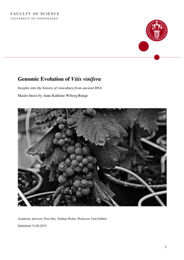 Genomic Evolution of Vitis Vinifera – a Palaeogenomic Approach