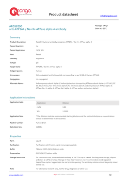 Anti-ATP1A4 / Na+ K+ Atpase Alpha 4 Antibody (ARG58290)