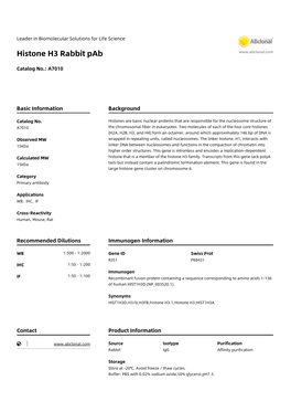 Histone H3 Rabbit Pab