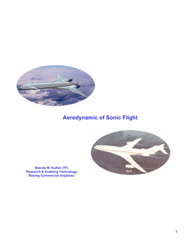 Aerodynamic of Sonic Flight