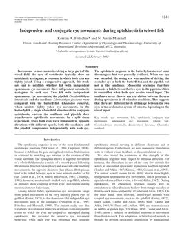 Independent and Conjugate Optokinesis in Fish