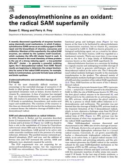 S-Adenosylmethionine As an Oxidant: the Radical SAM Superfamily