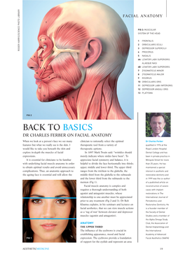 Facial Anatomy