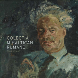 Colecția De Artă Plastică „Mihai Tican – Rumano”, Berevoiești