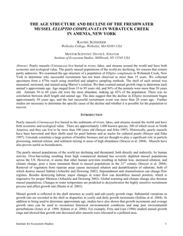 The Age Structure and Decline of the Freshwater Mussel Elliptio Complanata in Webatuck Creek in Amenia, New York