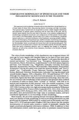 Comparative Morphology of Spined Scales and Their Phylogenetic Significance in the Teleostei