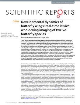 Real-Time in Vivo Whole-Wing Imaging of Twelve Butterfly Species