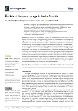 The Role of Streptococcus Spp. in Bovine Mastitis