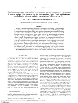 Gypsum in Modern Kamchatka Volcanic Hot Springs and the Lower Cambrian Black Shale: Applied to the Microbial-Mediated Precipitation of Sulfates on Mars†K