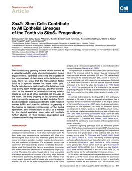 Sox2+ Stem Cells Contribute to All Epithelial Lineages of the Tooth Via Sfrp5+ Progenitors