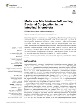 Molecular Mechanisms Influencing Bacterial Conjugation in the Intestinal Microbiota