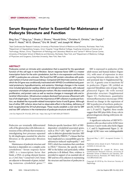 Serum Response Factor Is Essential for Maintenance of Podocyte Structure and Function