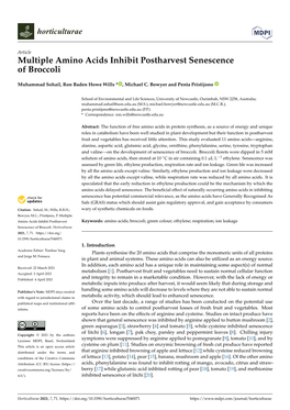 Multiple Amino Acids Inhibit Postharvest Senescence of Broccoli