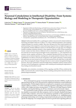 Neuronal Cytoskeleton in Intellectual Disability: from Systems Biology and Modeling to Therapeutic Opportunities