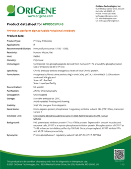 PPP1R14A (Isoform Alpha) Rabbit Polyclonal Antibody – AP09505PU-S
