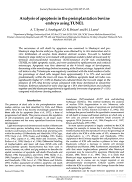 Analysis of Apoptosis in the Preimplantationbovine Embryo