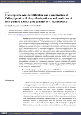 Transcriptome-Wide Identification and Quantification of Caffeoylquinic Acid Biosynthesis Pathway and Prediction of Their Putative Bahds Gene Complex in A