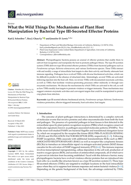 What the Wild Things Do: Mechanisms of Plant Host Manipulation by Bacterial Type III-Secreted Effector Proteins