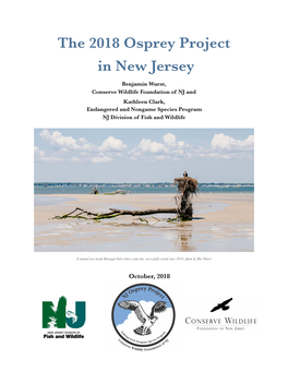 2018 NJ Osprey Project Report