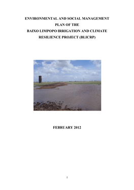 Mozambique (2006 Environmental Act) As Well As the African Development Bank’S Environmental and Social Safeguard Policies, Guidelines and Procedures