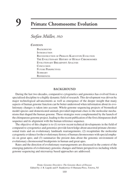 9 Primate Chromosome Evolution