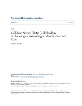 Cellulose Nitrate Plastic (Celluloid) in Archaeological Assemblages: Identification and Care Megan E