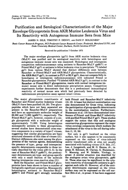 Purification and Serological Characterization of the Major